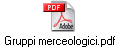 Gruppi merceologici.pdf
