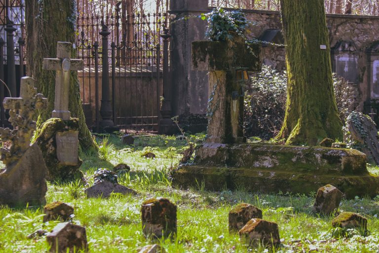 “Vivi” nel cimitero di Viggiù