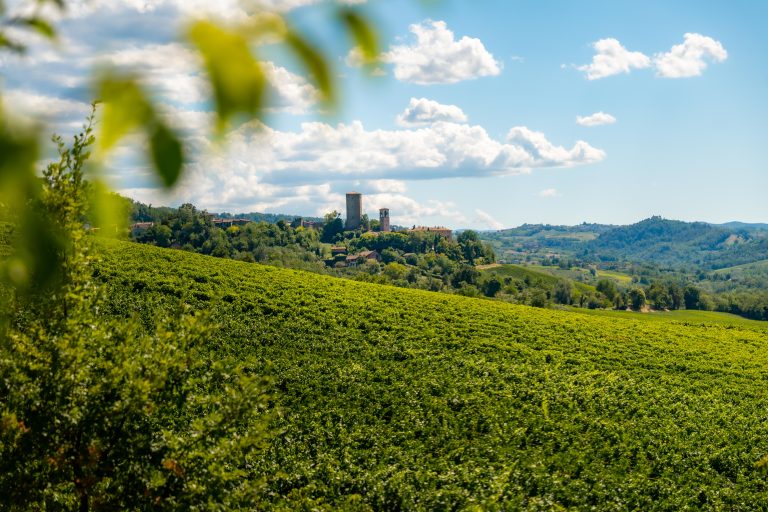 Quando la fabbrica si trasforma in vino