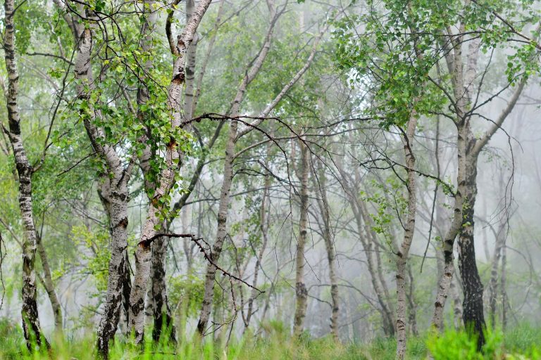 L’incontro tra impresa e arte