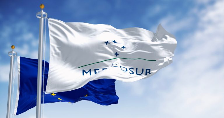 I perché del Mercosur alla luce della nostra storia